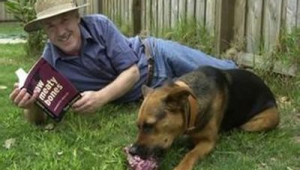 新西兰养狗吗好养吗？这些要点你必须知道