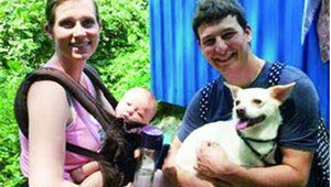 外国多人养狗原因探究：是陪伴需求还是别样生活方式？