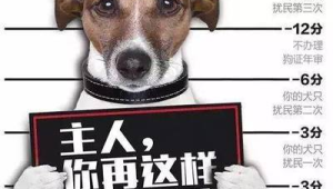 现在养狗有什么规定，这些要点你必须了解