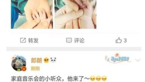 养20年狗竟然不会怀孕？背后真相令人深思