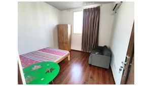 和顺苑养狗情况如何？养狗数量多不多成关注焦点