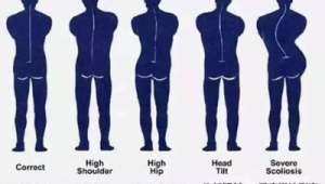 养狗不分高低贱吗？探讨养犬平等背后的诸多思考