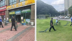 天湖街上如今养狗数量多吗？现状如何一探究竟