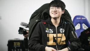 春天西区养狗数量多吗？探寻春日里西区的养狗情况